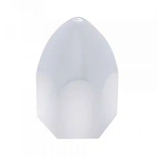 1 1/2" Lifetime Plastic Chrome Lugnut Cover