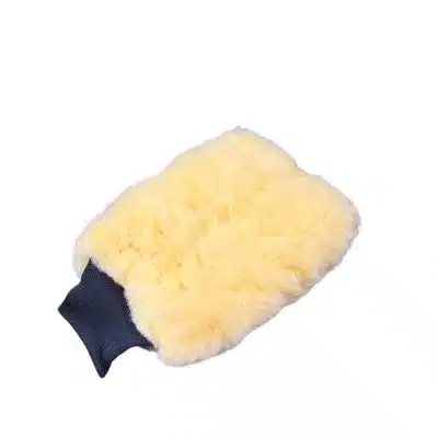 Wash Mitt