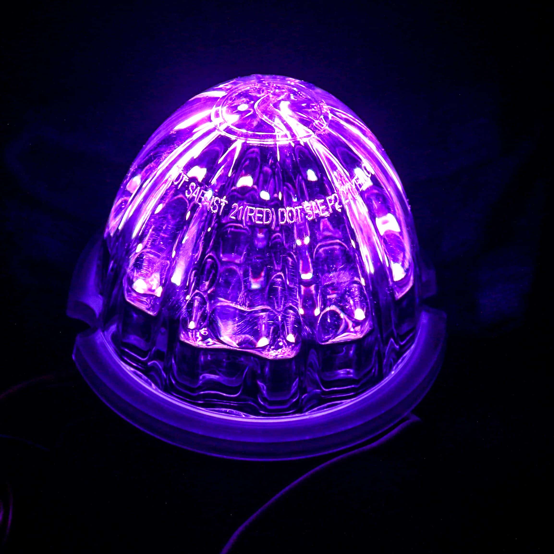 Led on sale lights purple