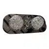 Peterbilt 389 Dome Light Panel with 2 Watermelon Light Holes - Image 2
