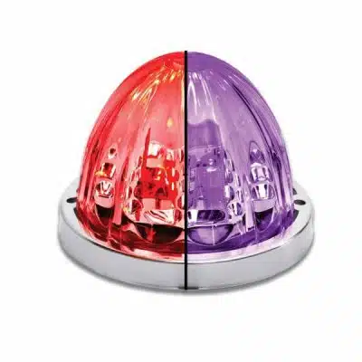 Starburst Series Watermelon LED Light – 19 Diodes - Red/Purple