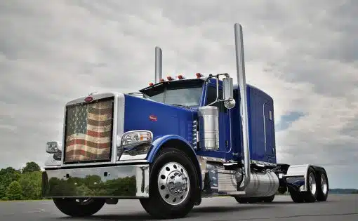 Peterbilt 389 Old Glory Bug Screen