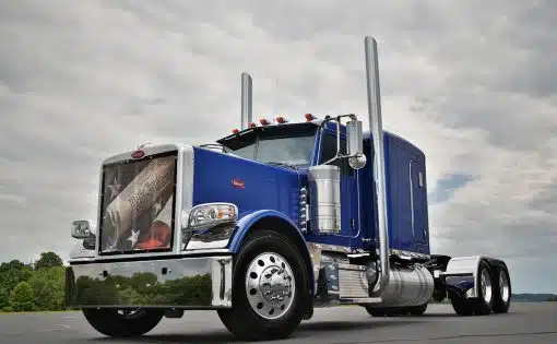 Peterbilt 389 We The People Bug Screen