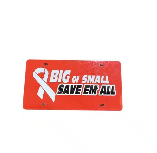 Breast Cancer Awareness - Image 6