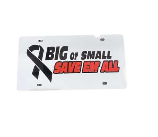 Breast Cancer Awareness - Image 13