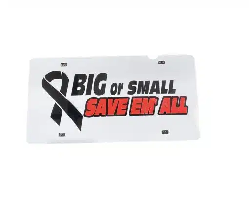 Breast Cancer Awareness - Image 13