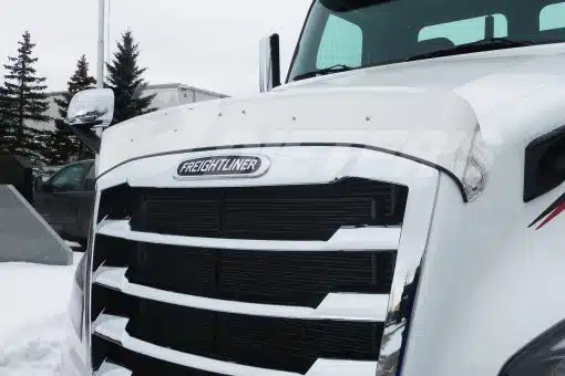 Freightliner Cascadia 18+ Stainless Steel Bug Shield