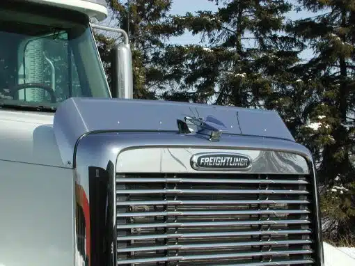Freightliner Coronado 2010 & Older Bug Shield