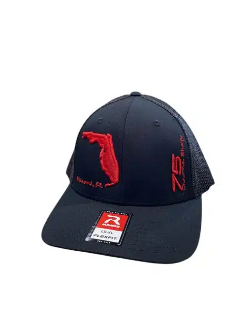 Flex Fit Hat - Image 2