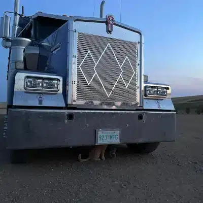 Kenworth W900L Grill Insert with 3 Diamonds